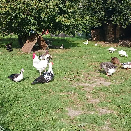Сasa de vacaciones Des Archanges Macey (Manche)