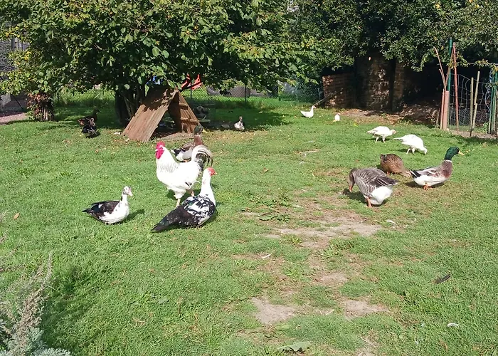 度假居 Des Archanges Macey (Manche)